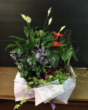 寄せ鉢｜「花倶楽部マーラリッシュ」　（青森県八戸市の花キューピット加盟店 花屋）のブログ