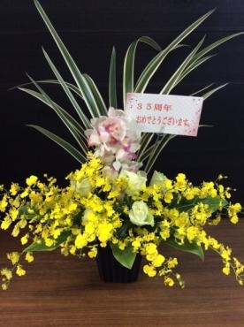 白バラ｜「花倶楽部マーラリッシュ」　（青森県八戸市の花キューピット加盟店 花屋）のブログ